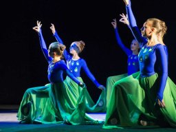 Благотворительный концерт в поддержку Надежды Елисеевой