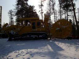 Лыжные гонки 17.03.12