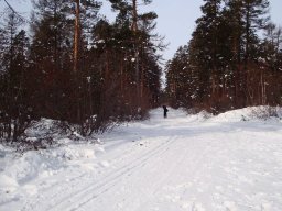 Лыжные гонки 17.03.12