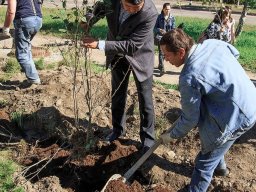 Посадка деревьев 2 сентября 2014