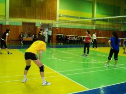 Соревнования по волейболу 13.02.12