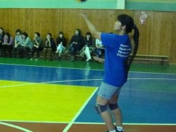 Соревнования по волейболу 13.02.12