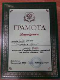 «Электорат Егора» – серебряный призёр правового турнира